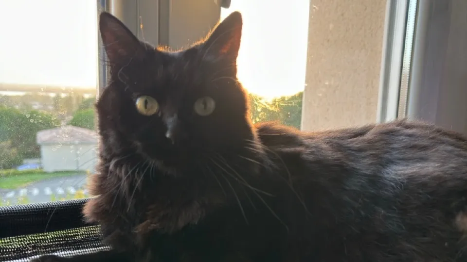 IMG_7564 - Grande.jpeg